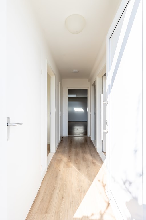 Burgemeester Hackstraat, Wolphaartsdijk foto 3